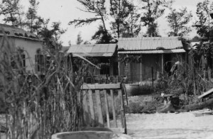 NeighborhoodB111 (1)